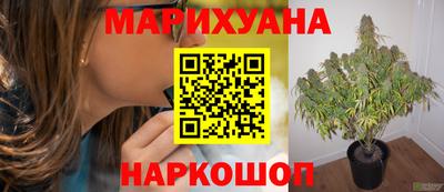 крисы Комсомольск-на-Амуре