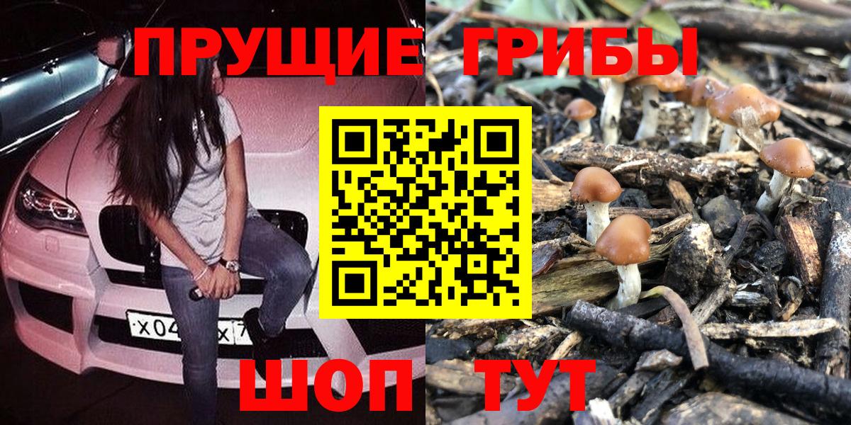 Галлюциногенные грибы GOLDEN TEACHER Жигулёвск