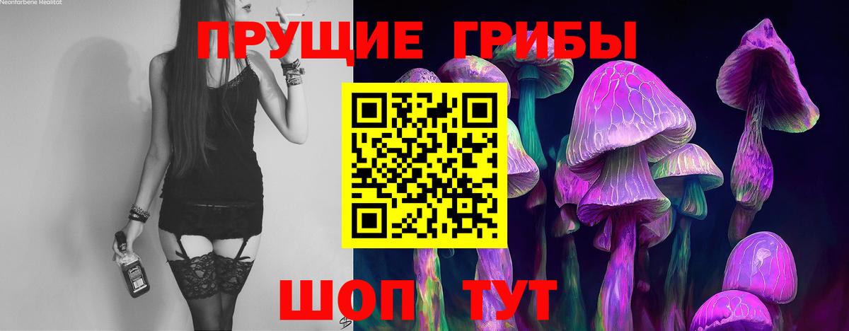 Жигулёвск  Псилоцибиновые грибы MAGIC MUSHROOMS  Вход с VPN 